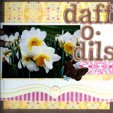 LaConner Daffodils