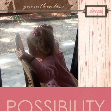 POSSIBILITY