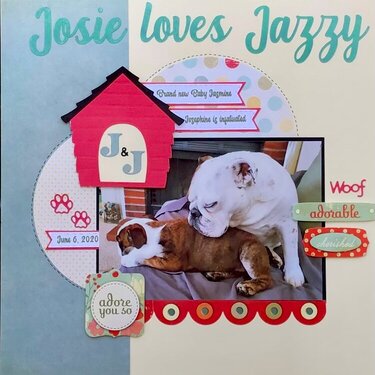 Josie loves Jazzy 2020