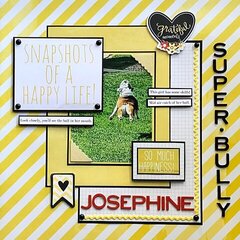 Snapshots of a happy life- Josephine 2020