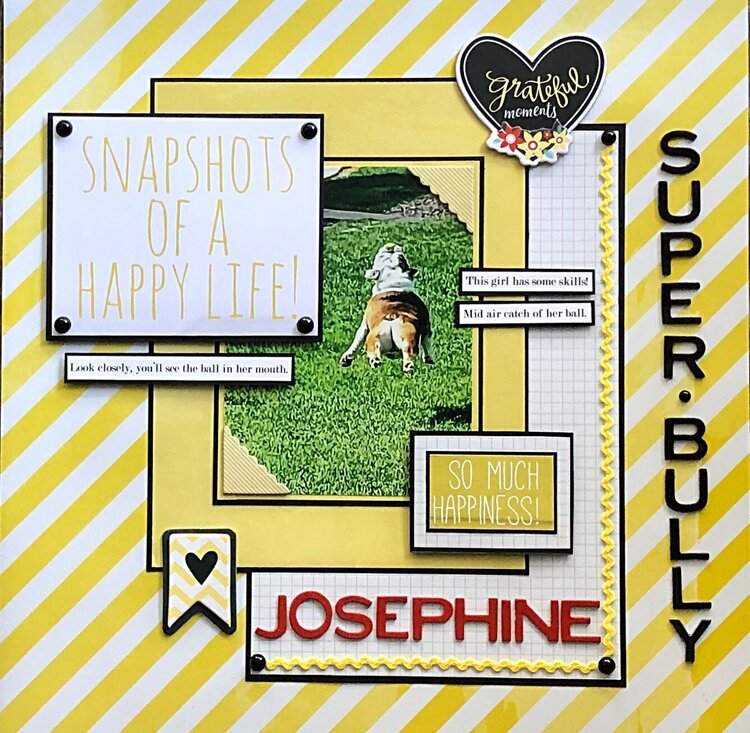 Snapshots of a happy life- Josephine 2020
