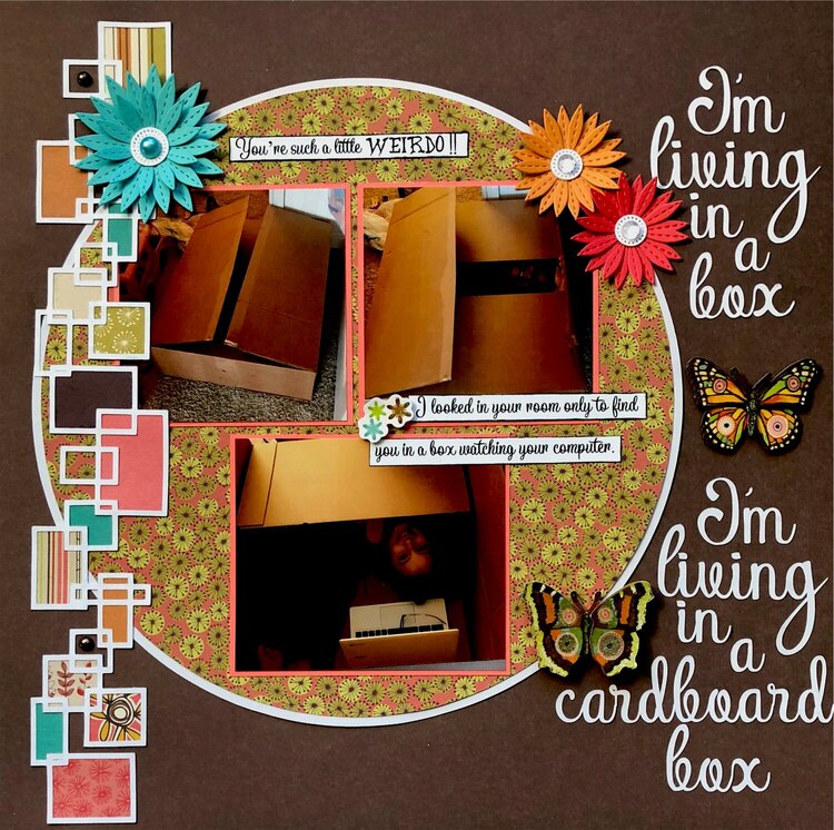I&#039;m living in a box