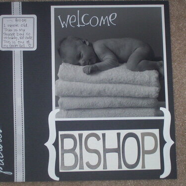 One week old , welcome precious Bishop