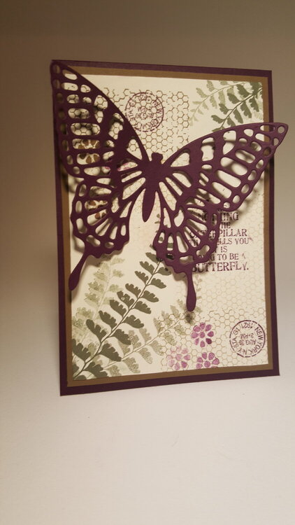 Butterfly Card