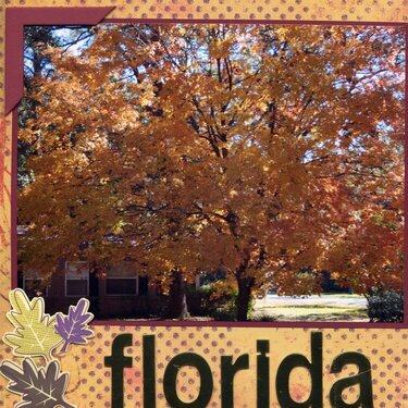 Florida Fall