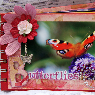 Butterfly - mini book - cover