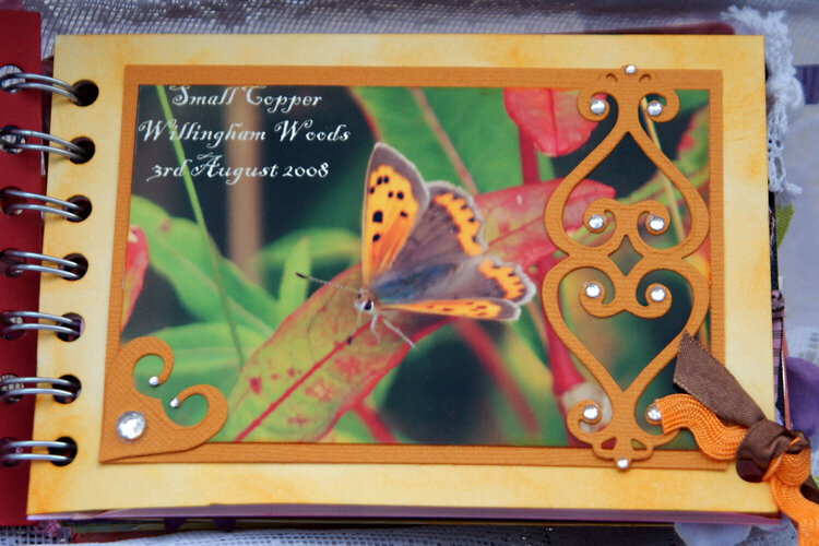 Butterflies - Mini book