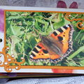 Butterflies Mini Book