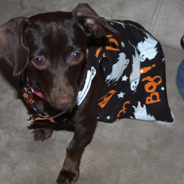 Coco in her Halloween Dress