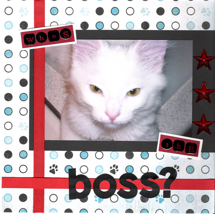 Who&#039;s The Boss
