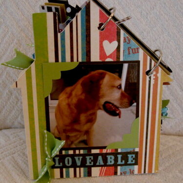 Dog House Book