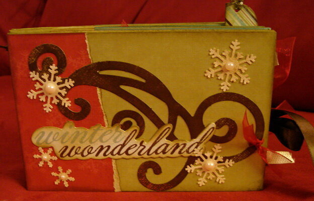 Winter Wonderland Star book 1