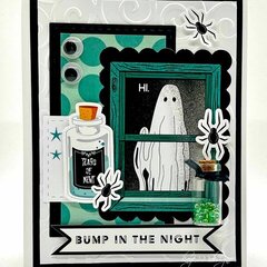 Bump In The Night