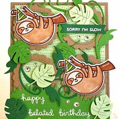 Sorry I'm Slow.....Happy Belated Birthday