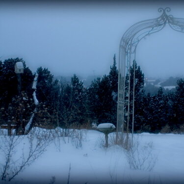 snowfall at dusk