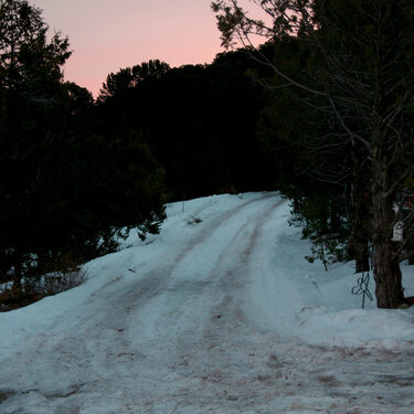 our driveway at dawn