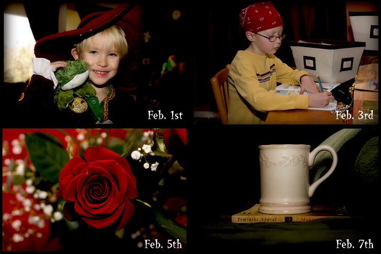 FEB... 1st, 3rd, 5th and 7th