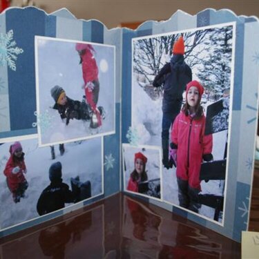 snow mini album