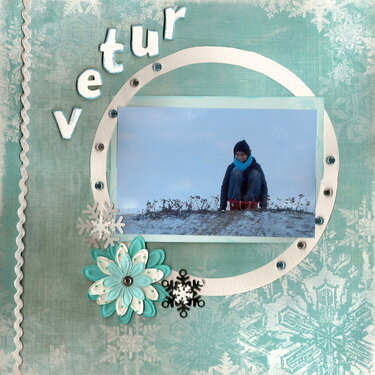 Vetur / Winter