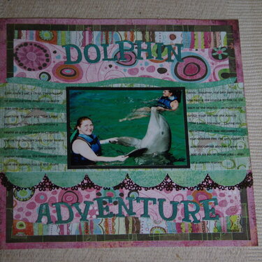 Dolphin Adventure