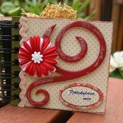 My family mini album