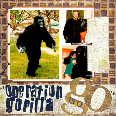 Operation Gorilla