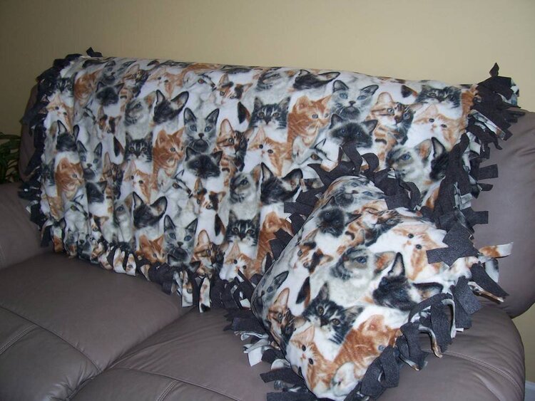 fleece fringed blanket and pillow
