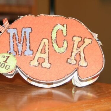 Mack Altered Mini Album