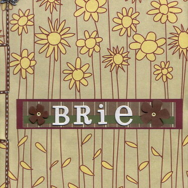 Brie&#039;s Farewell Card