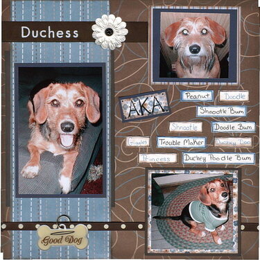 Duchess AKA....