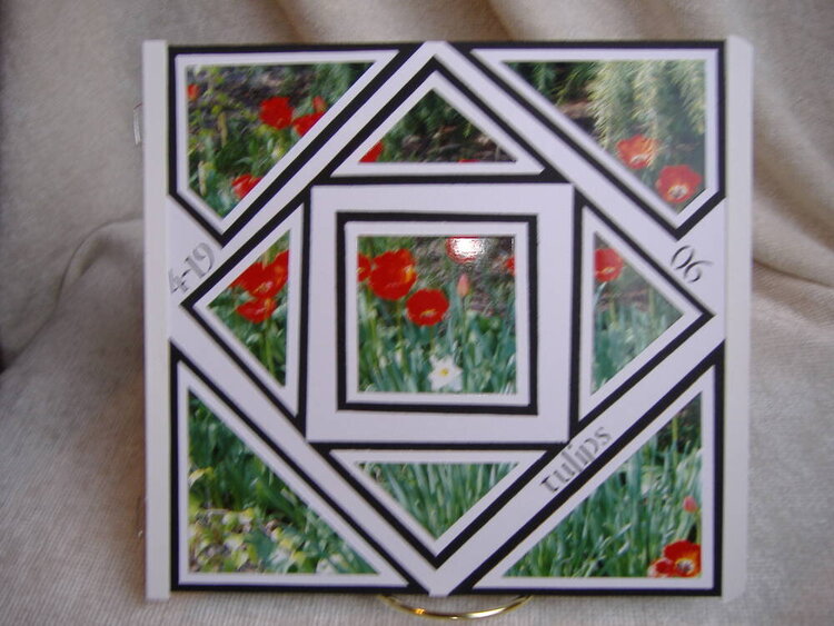 Tulip Mosaic