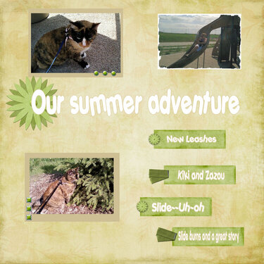 Our Summer Adventure