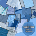 Flight Path Papers