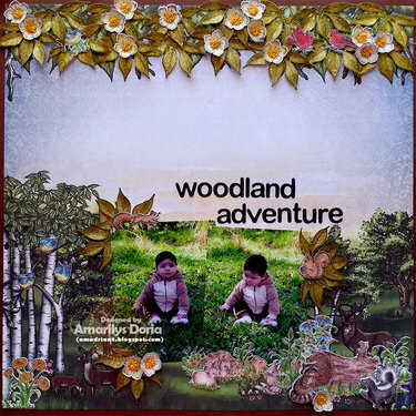 Woodland Adventure