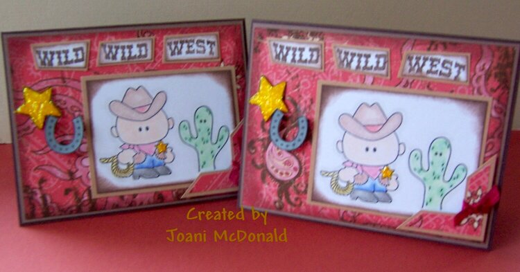 Wil Wild West
