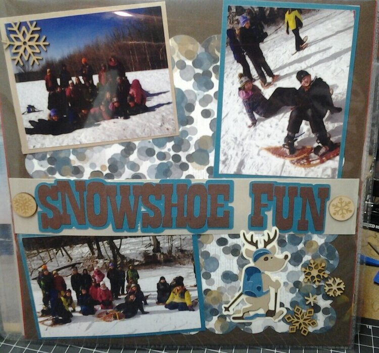 Snowshoe Fun
