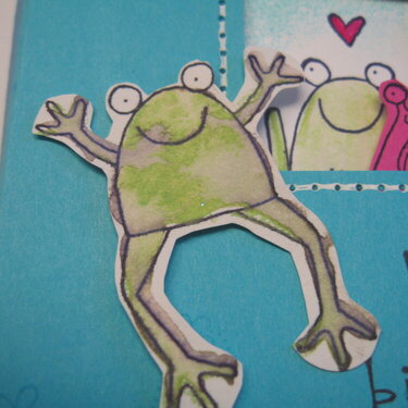 Hoppy Birthday - Frog closeup