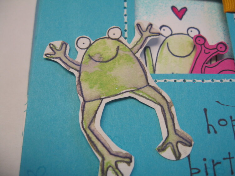 Hoppy Birthday - Frog closeup