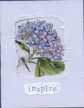 Hydrangea Card #2