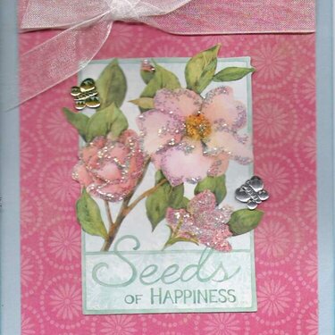 Seeds of Happiness