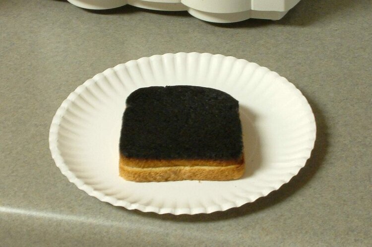 Burned Sandwich