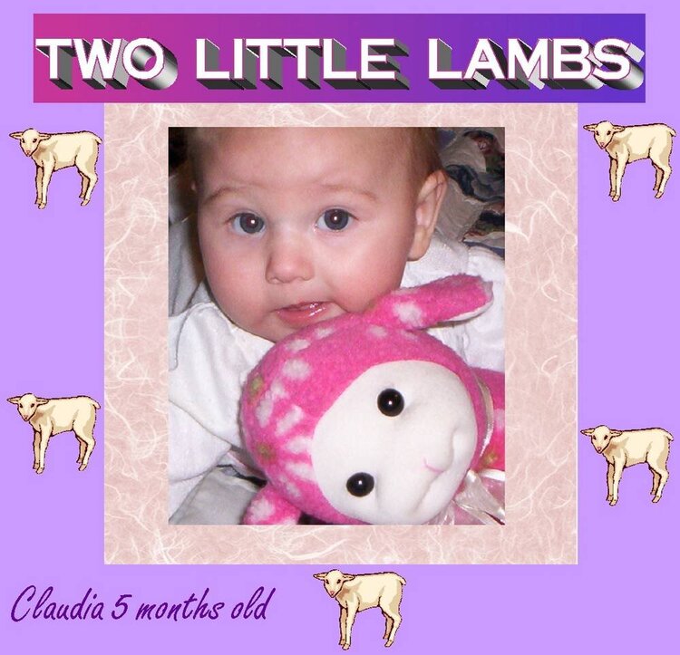 two lil lambs