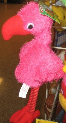 #16 Pink Flamingo 6pts