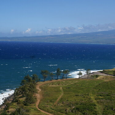 Maui coast