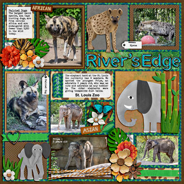 St. Louis Zoo River&#039;s Edge
