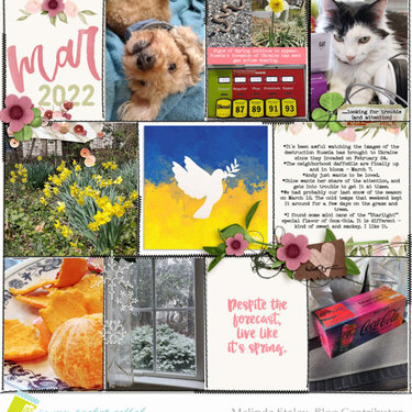 March 2022 Pocket Pages