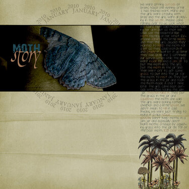 Moth Story