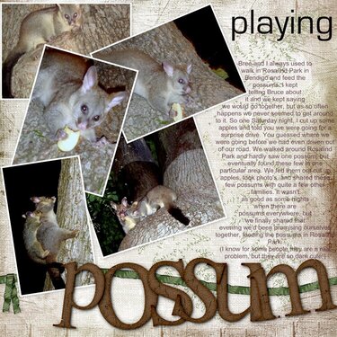 Playing Possum