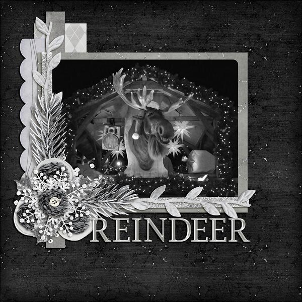 Reindeer