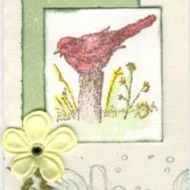 Bird card small